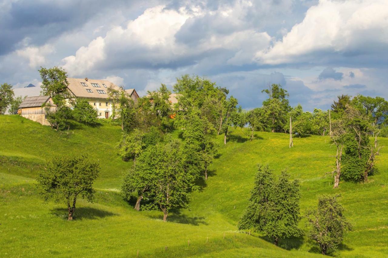 Apartment Krnicar Zgornje Gorje Exterior foto